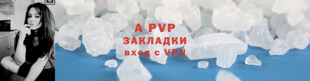 стаф Баксан