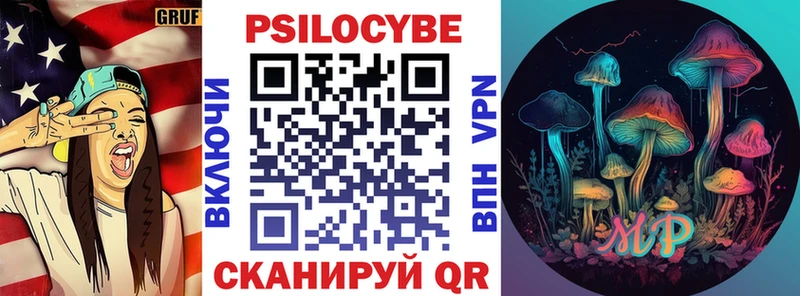 Купить закладки Тогучин Псилоцибиновые грибы мицелий