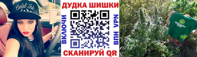 Шишки марихуана MAZAR  Купить закладки  Тогучин 